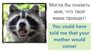 Модальные структуры прошедшего времени